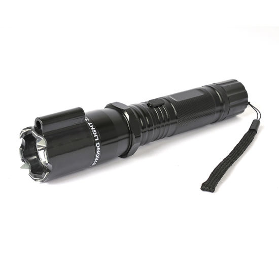 Stun Gun