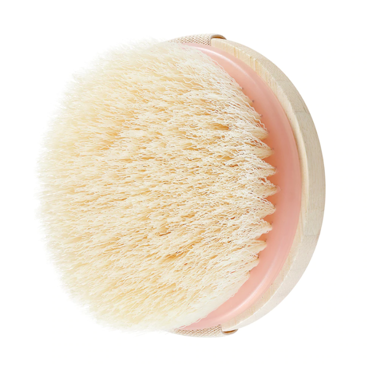 eco Tools Dry Brush