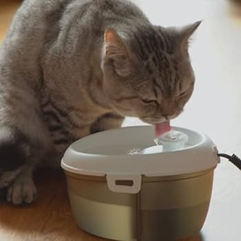 نافورة Cat H2O Mini Pet، بسعة 1.2 لتر، مع فلتر وجهاز لوحي للعناية بالأسنان، سطح أبيض مع قاعدة سوداء شفافة