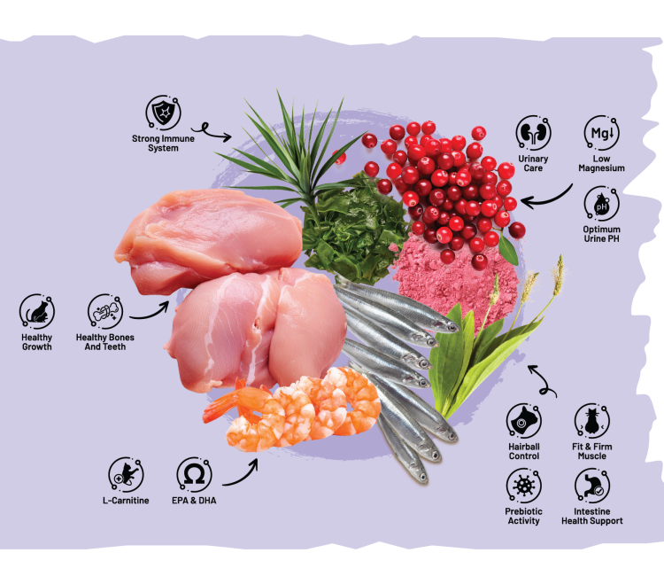 Sarar Chicken & Cranberry – دراي فود للقطط المُعقّمة  (For Sterilized Cats – Fit & Digestive )