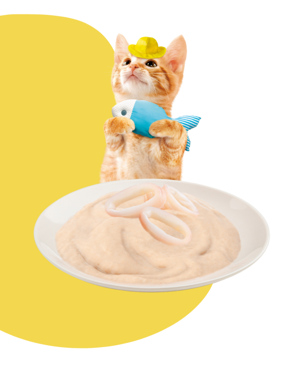 Moochie kitten mousse  with tunatopping calamari