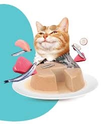 Moochie Pate With Anchovy (Digestive Care) 70G Pouch