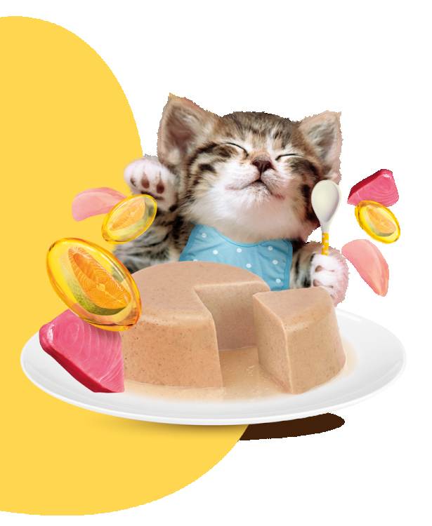 Moochie Tuna Mousses For Kitten (Healthy Growth) 70G Pouch