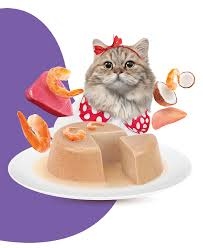 Moochie Pate With Prawn (Hairball Care) 70G Pouch