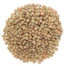 عدس حب 