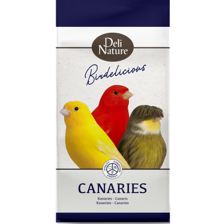 deli nature birdelicious canaries 