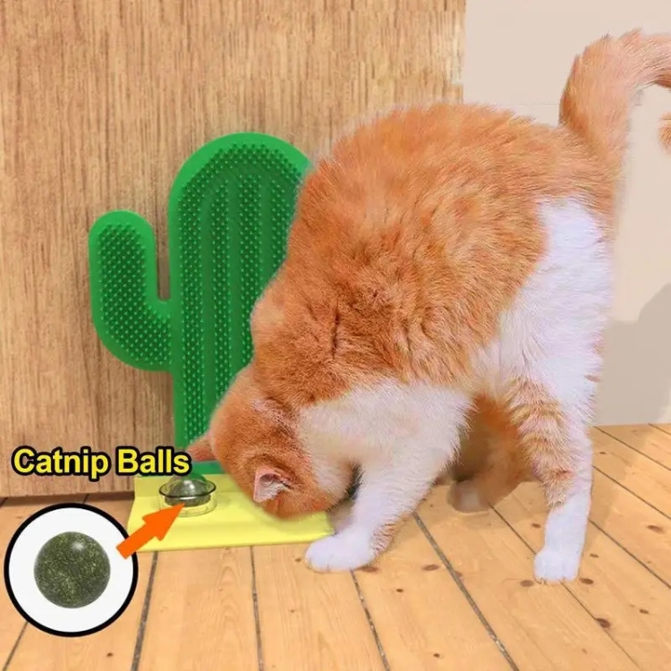 خداشة على شكل صباره مع كات نب 