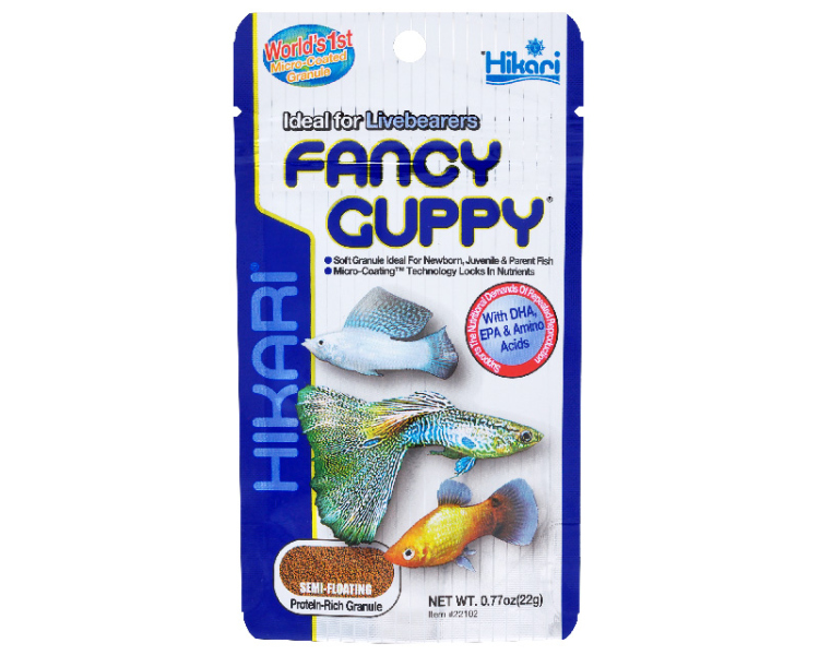 FANCY GUPPY