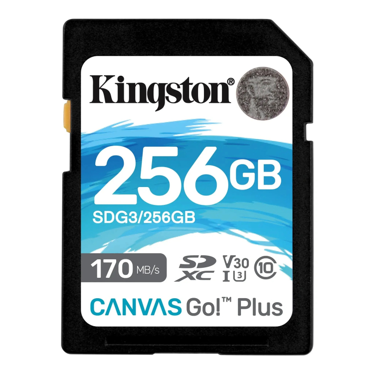 ميموري  اس دي كلاس 10 256 جيجا بايت170MB/s