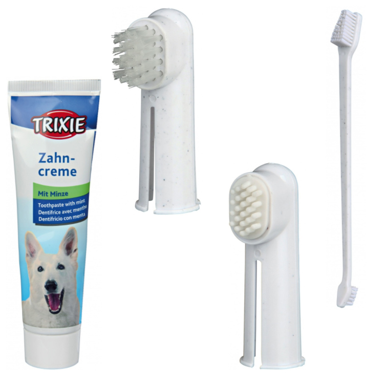 Toothpaste and brushes Trixie 4 pcs.