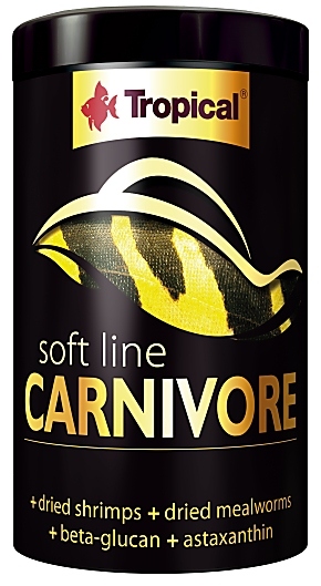 soft line CARNIVORE