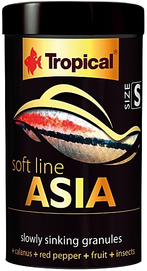 soft line ASIA