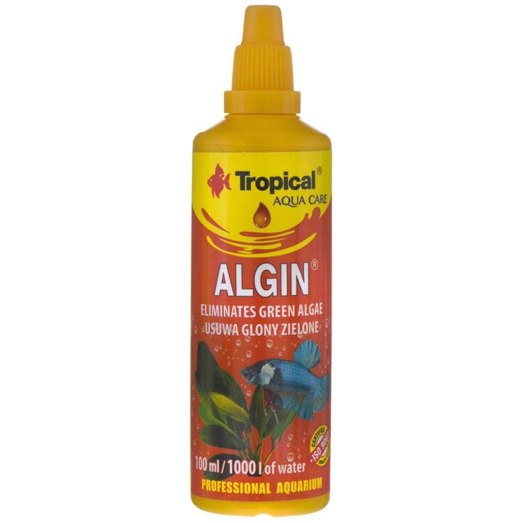 Tropical Algin