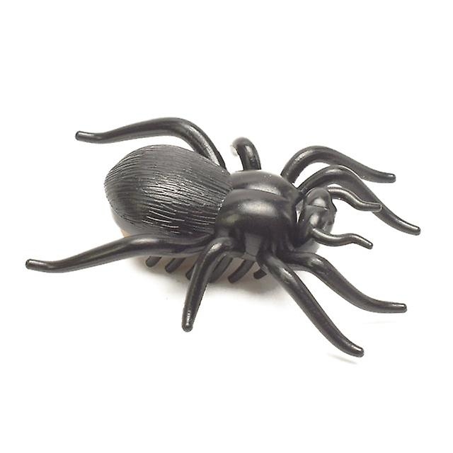 vibration spider cat toy