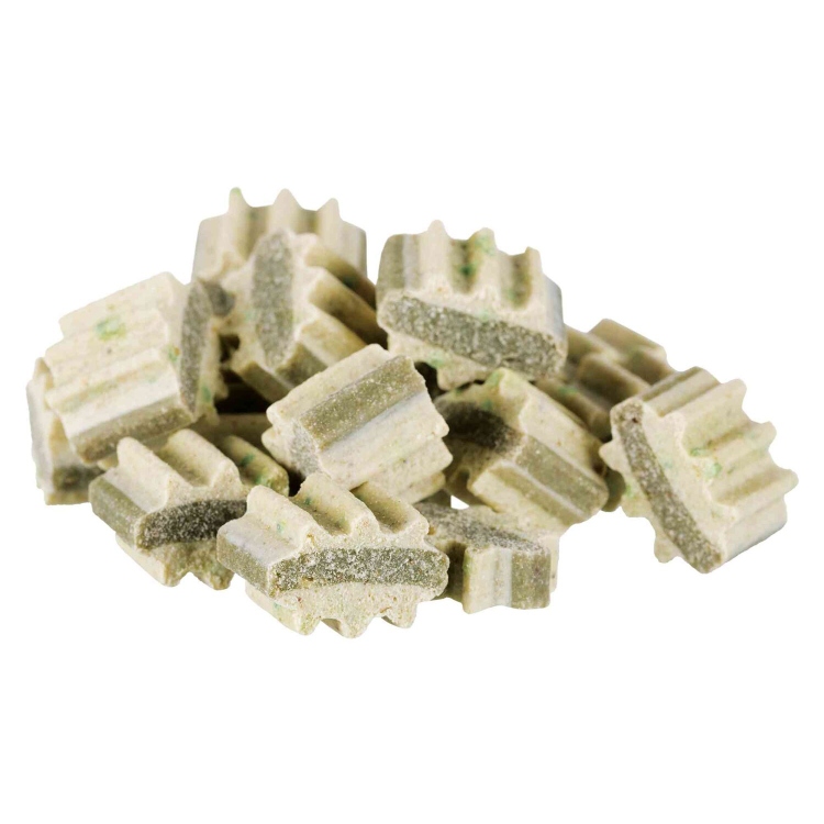 Trixie Denta Fun Chew Bites Treats with parsley and mint for dogs