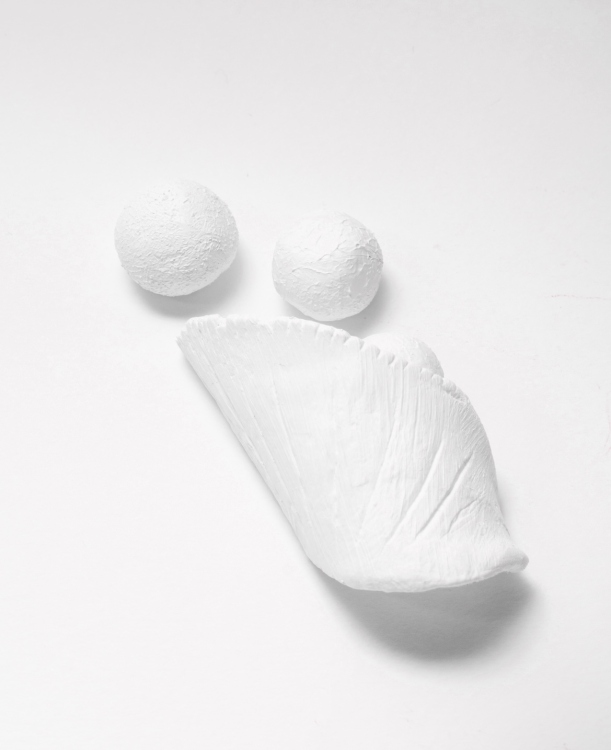 Marine Oysters Clay Sculpture 