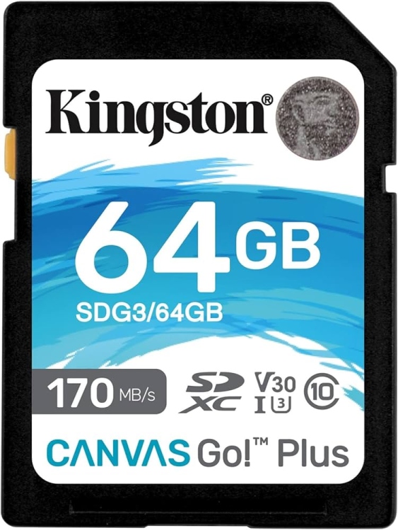 MICRO SD CLASS 10,64GB,170MB/S