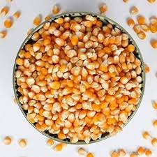 حبوب الفشار 500 غم