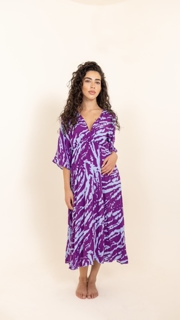 The Zebra Dress