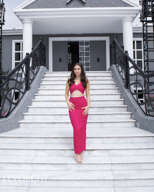 The Lina Dress 