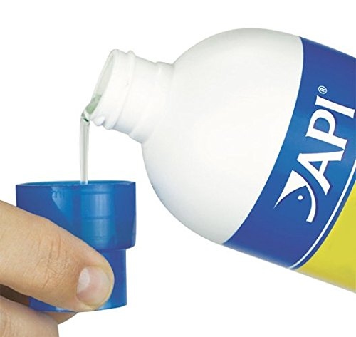  أسرع بداية لحوض صحي وآمن من API