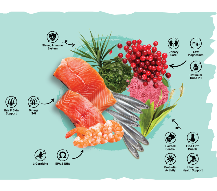 SARAR Cat Food Urinary Care with Salmon & Cranberry