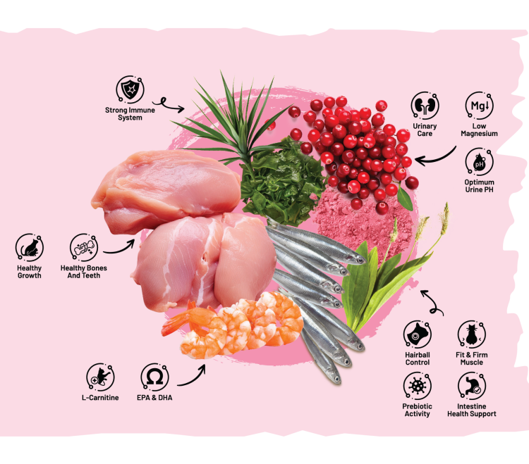 SARAR Cat Food Kitten Mother with Chicken & Anchovy