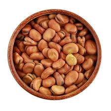 فول حبه صغيرة 500 غم