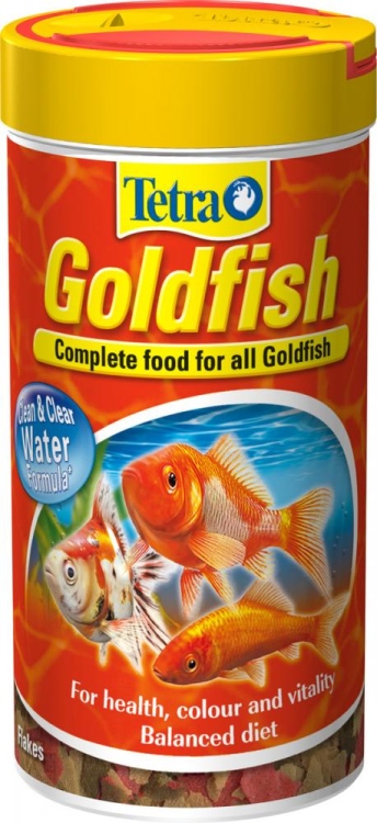 Tetra Gold Fish 