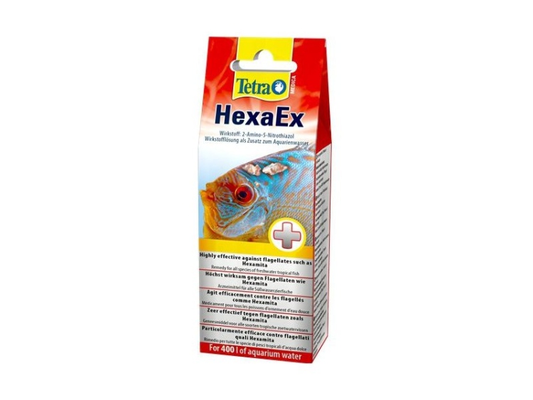 Tetra HexaEx