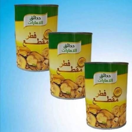 حدائق الامارات فطر مقطع 3 حبات