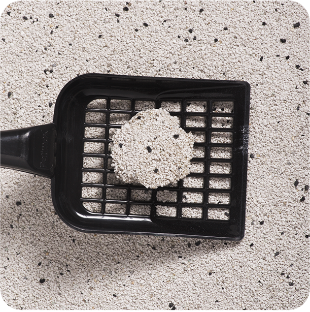 Patimax Premium Ultra Clumping Cat Litter