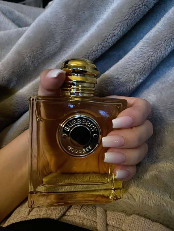 عرض خاص  3 عطور تستر بسعر 25 دينار والعطر الرابع مجاناً   فقط استخدم كود free  لتحصل على توصيل مجانا 