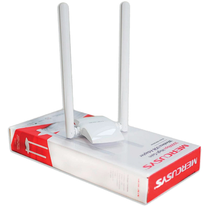 ويرليس USB N300