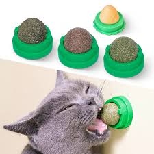 Cat nip ball toy for cats