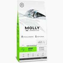 Molly Adult Salmon