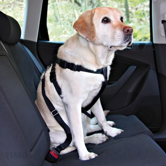 Trixie Car Harness