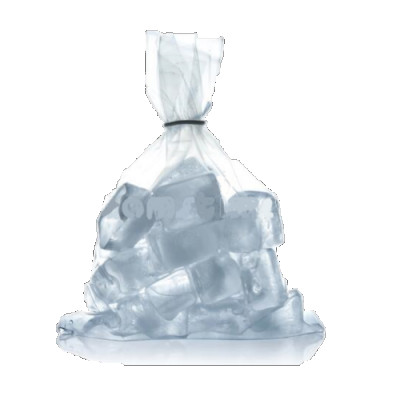 ICE 