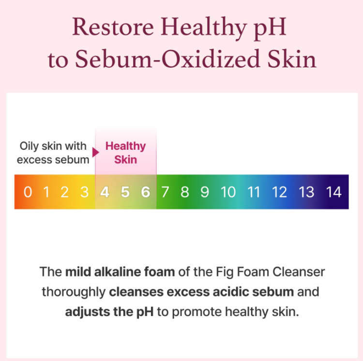 I'm from, Fig Foam Cleanser