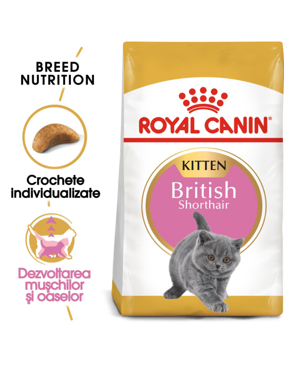 Royal Canin BRITISH SHORTHAIR KITTEN