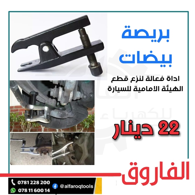 بريصة بيضات