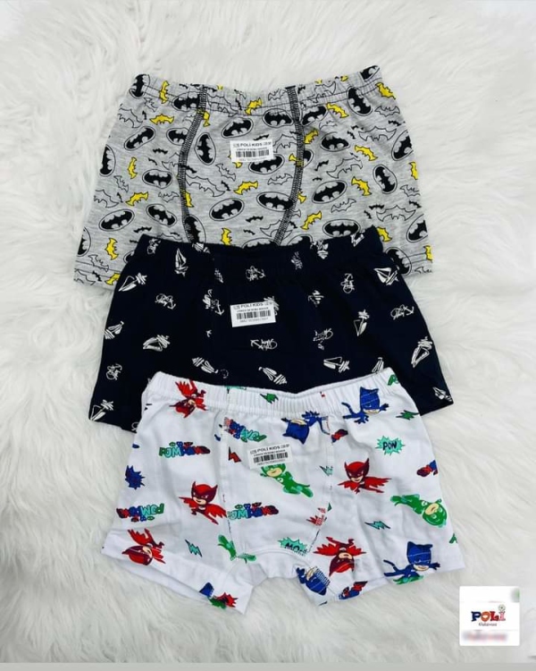 Boxer ولادي