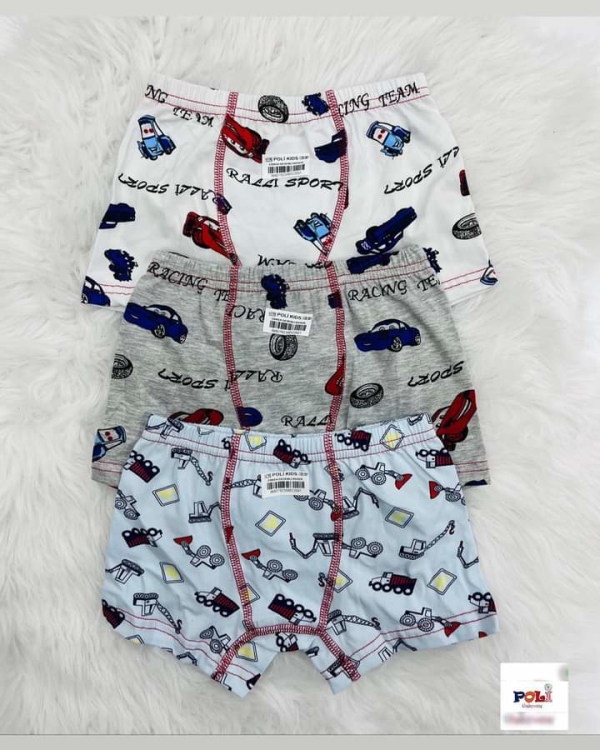 Boxer ولادي