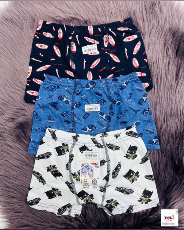 Boxer ولادي