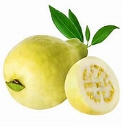 جوافه كغم