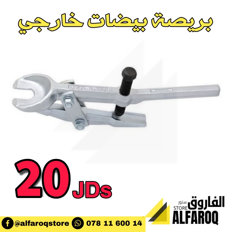 بريصة بيضات خارجي