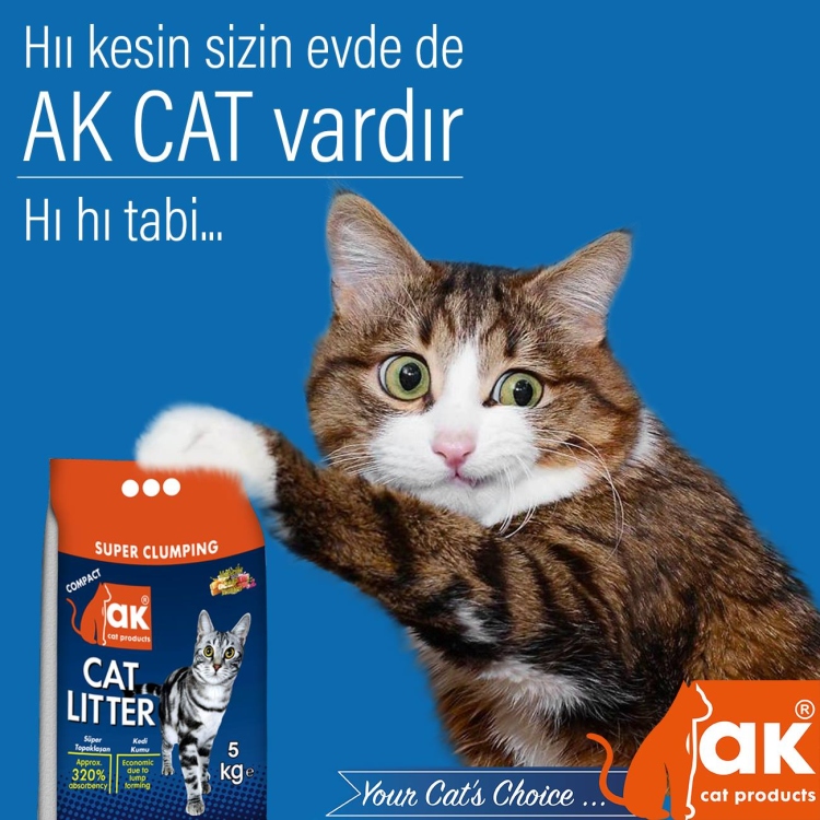   AK Cat 5kg رمل قطط ماركت 