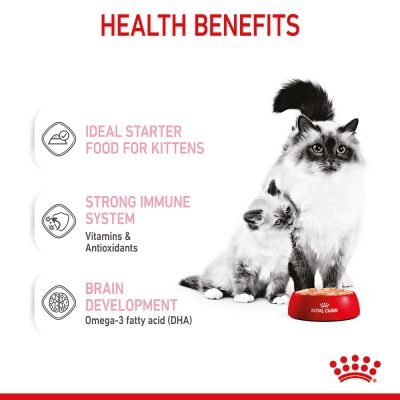 Royal Canin Mother & Baby Cat Ultra Soft Mousse Wet Food, 195g