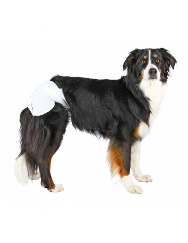 Diapers for Female Dogs ( Xs to XL)