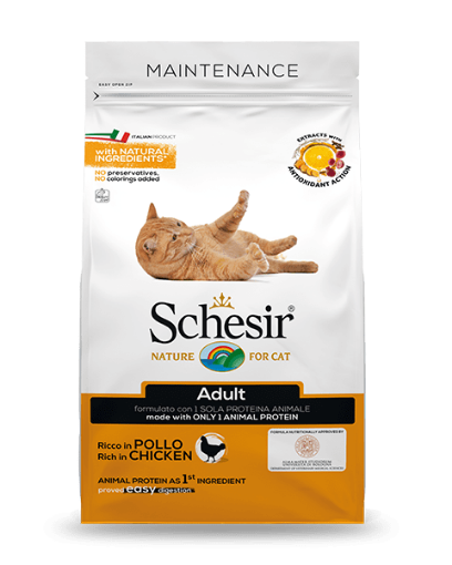 Schesir adult cat food chicken flavor